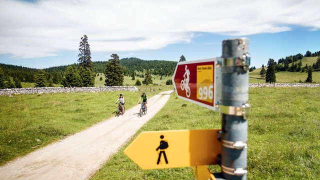 Vallée de Joux, Mont Tendre, VTT n° 996 Mont Tendre Bike - SuisseMobile Photographer: David Carlier, www.davidcarlierphotography.com